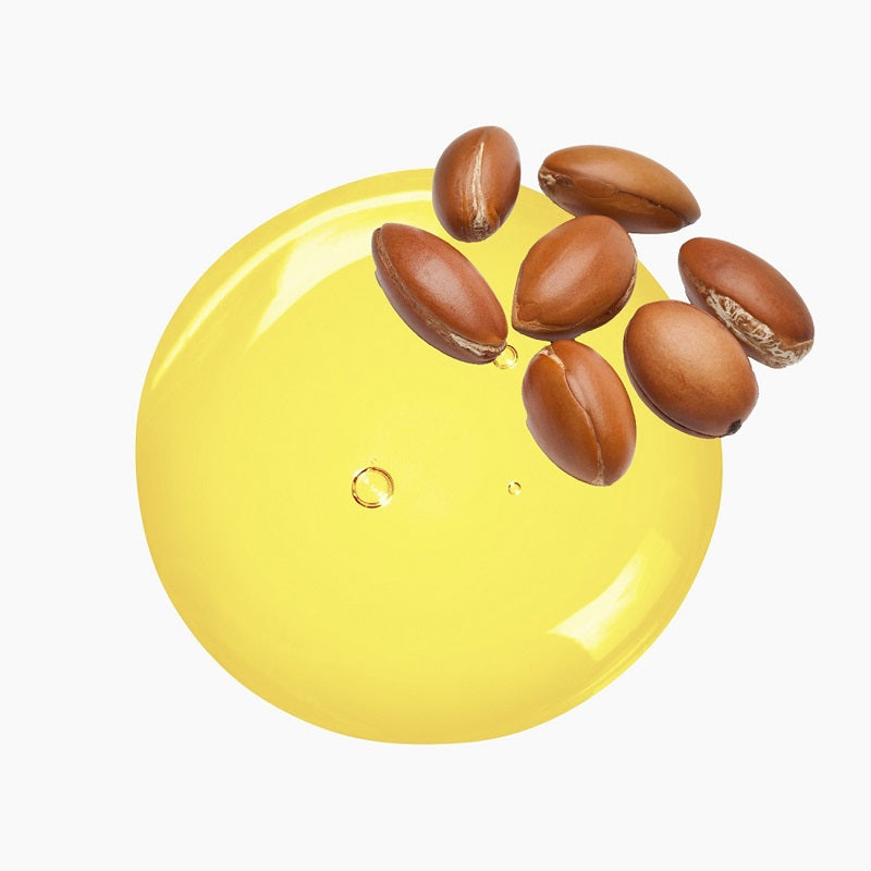 Seven Argan Nuts Atop A Circular Blob Of Yellow Oil | Bulk Oils | Brightpack Raw Materials