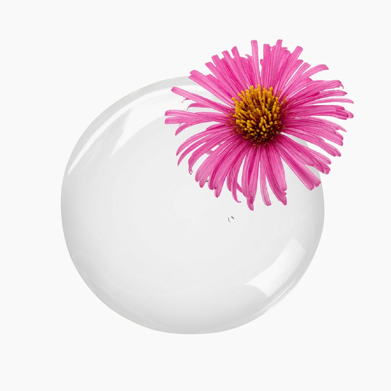 Pink Flower Atop A Circular Blob Of Colourless Oil | Bulk Oils | Brightpack Raw Materials