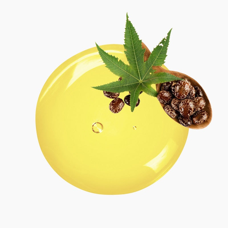 Wooden Spoon With A Handful Of Castor Seeds And A Leaf Atop A Circular Blob Of Yellow Oil | Bulk Oils | Brightpack Raw Materials