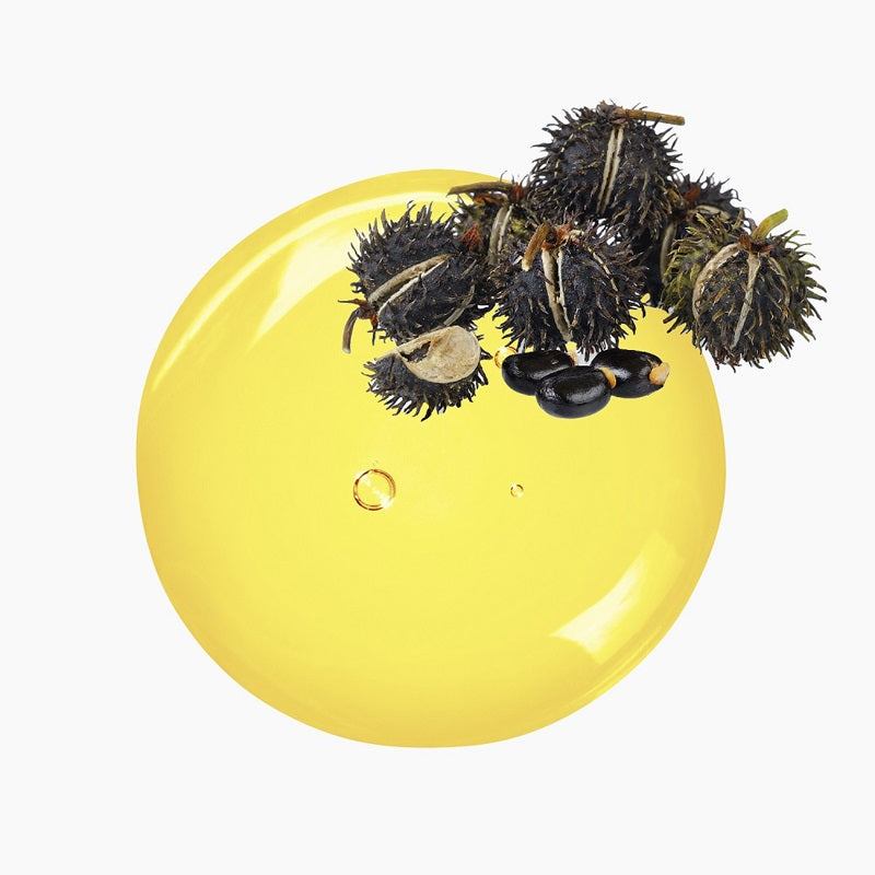 Black Castor Beans Atop A Circular Blob Of Yellow Oil | Bulk Oils | Brightpack Raw Materials