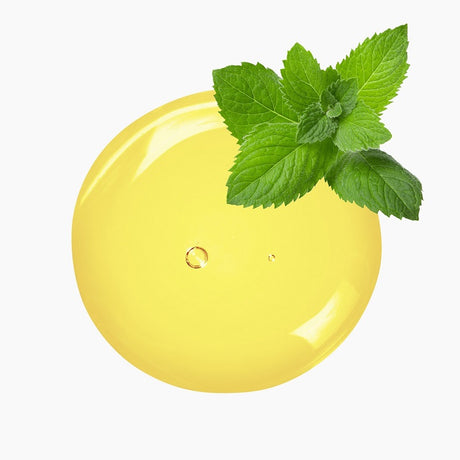 Peppermint Leaves Atop A Circular Blob Of Yellow Oil | Bulk Oils | Brightpack Raw Materials