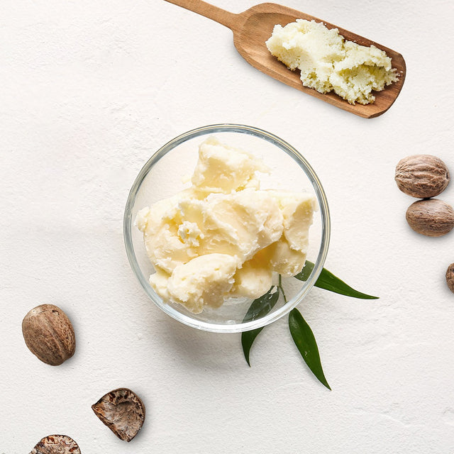 Top View Of Raw Unrefined Shea Butter In Glass Bowl Sorrounded By Shea Nuts And Leaves | Bulk Cosmetic Butters | Brightpack Raw Materials