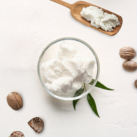 Top View Of Refined Shea Butter In Glass Bowl Sorrounded By Sliced Avocado And Leaves | Bulk Cosmetic Butters | Brightpack Raw Materials